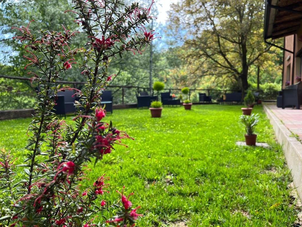 Agriturismo Tre Elle Acri Eksteriør billede